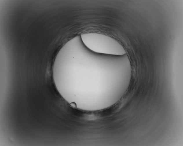 X0000099510561200805151013