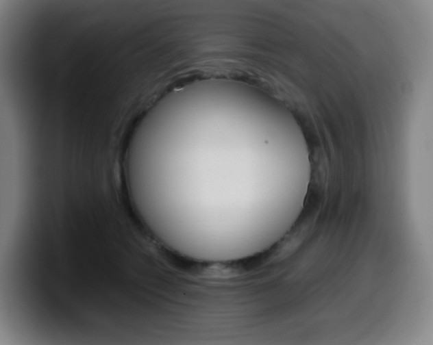 X0000099510562200805151013