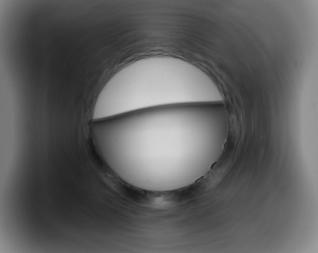 X0000099510564200805151013