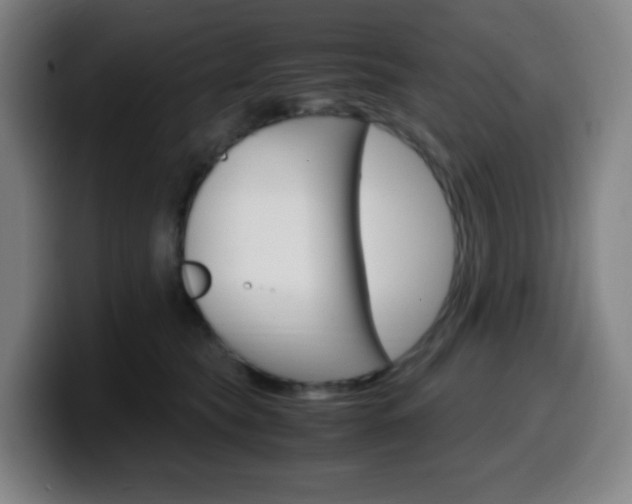 X0000099510565200805151013