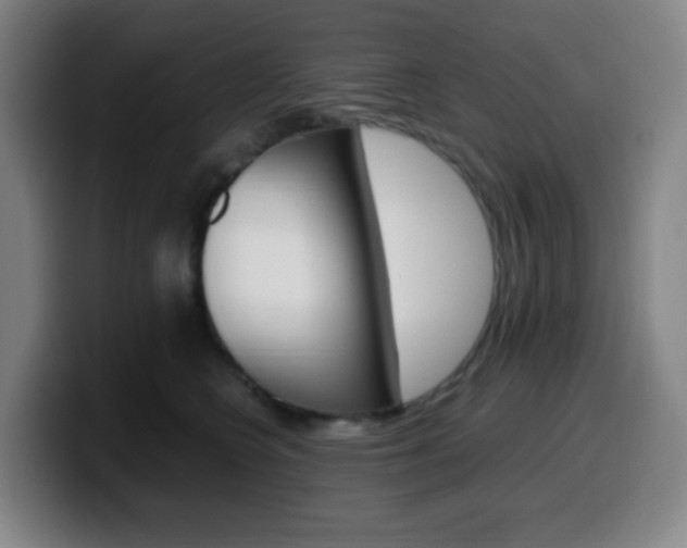 X0000099510566200805151013
