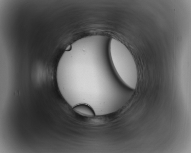 X0000099510567200805151013