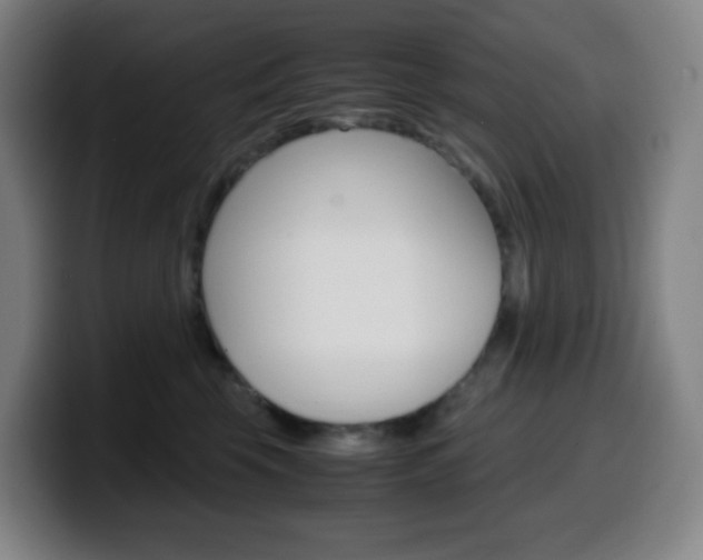 X0000099510569200805151013