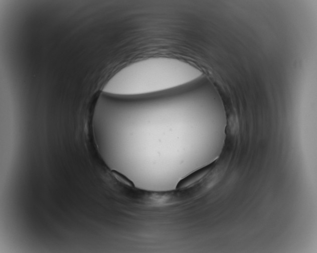 X0000099510570200805151013