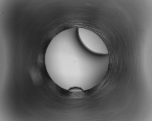 X0000099510571200805151013