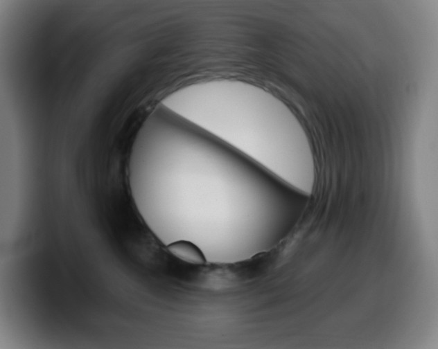 X0000099510572200805151013