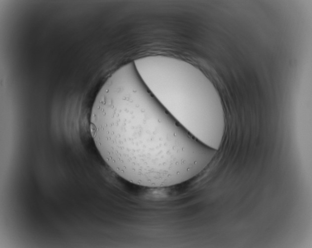 X0000099510573200805151013