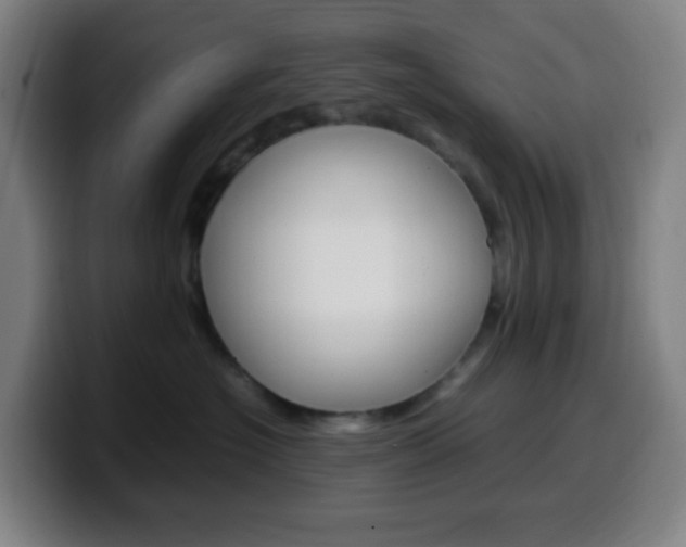 X0000099510574200805151013