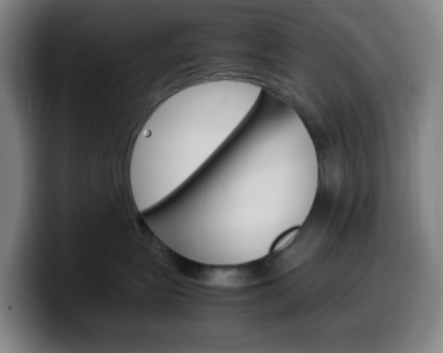 X0000099510575200805151013