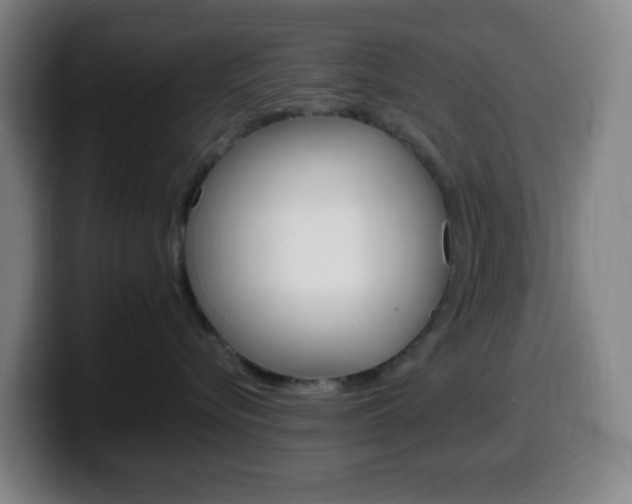 X0000099510576200805151013