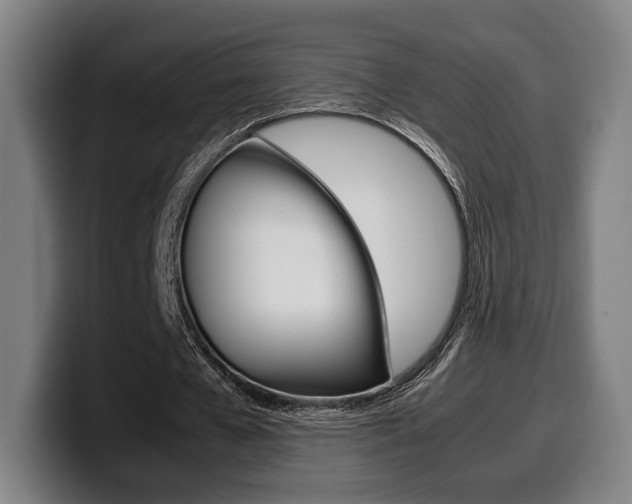 X0000099510577200805151013