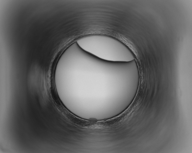 X0000099510578200805151013