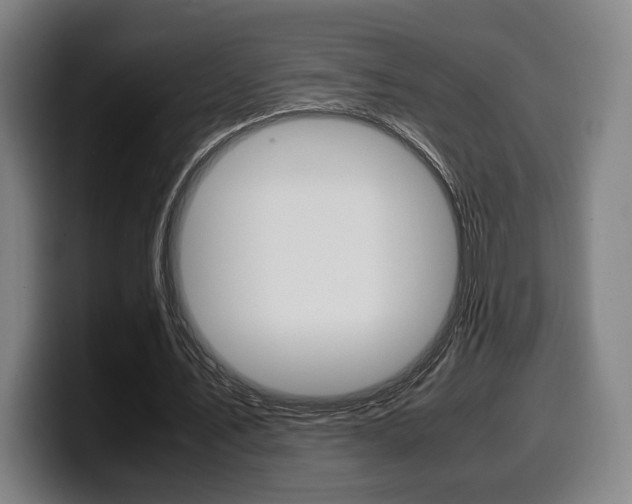 X0000099510579200805151013