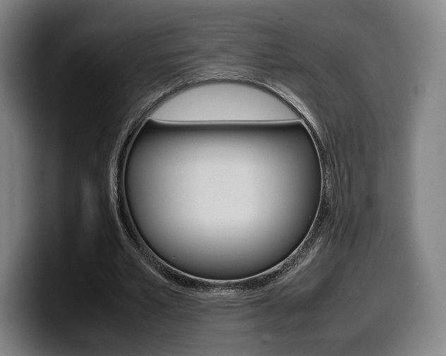 X0000099510581200805151013