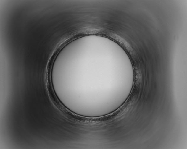 X0000099510582200805151013