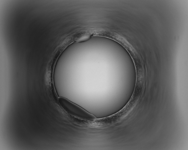 X0000099510585200805151013
