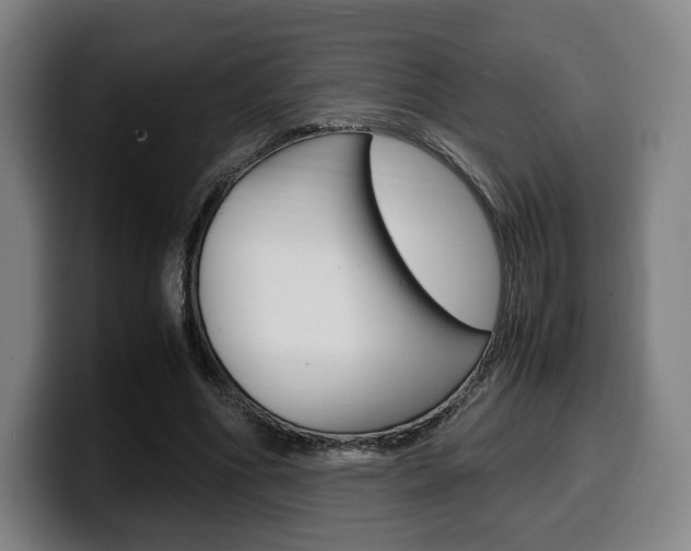 X0000099510586200805151013