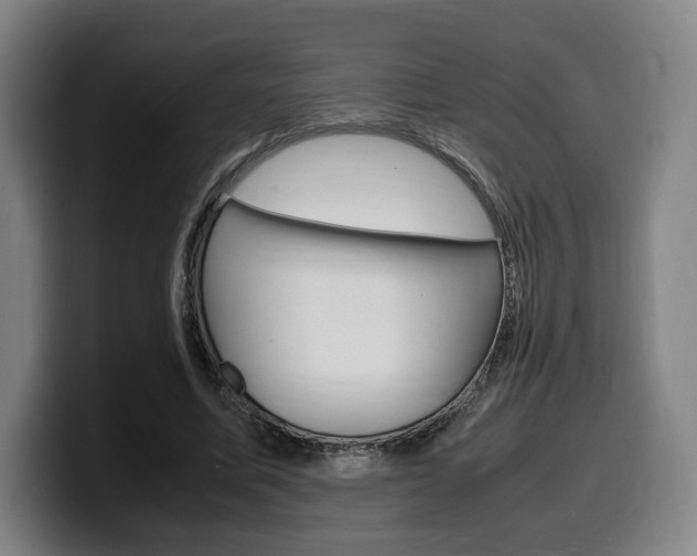 X0000099510587200805151013