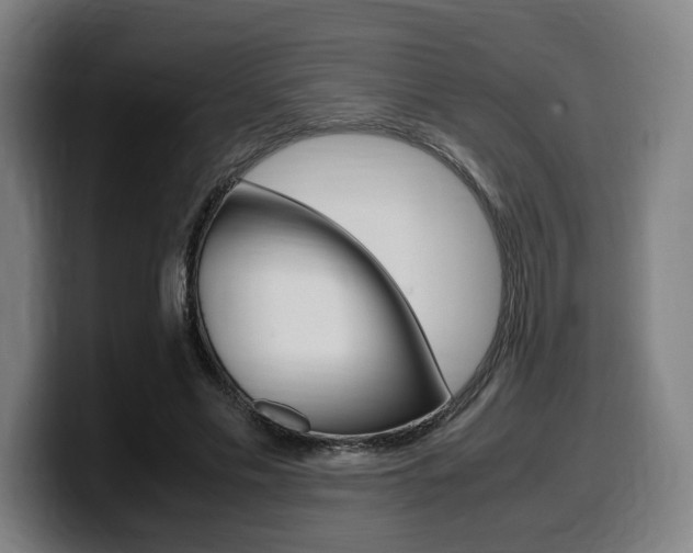 X0000099510589200805151012