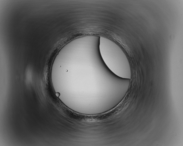 X0000099510590200805151012