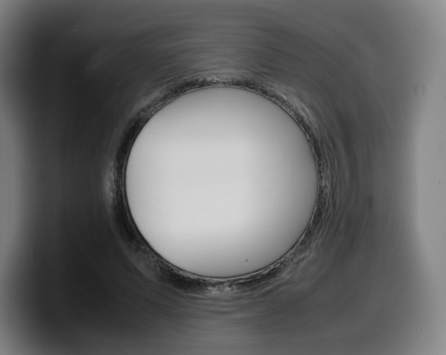 X0000099510591200805151012