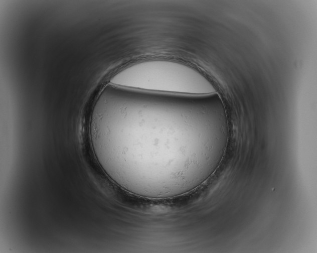 X0000099510592200805151012