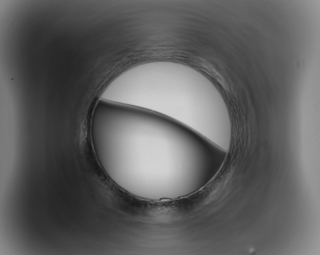 X0000099510593200805151012