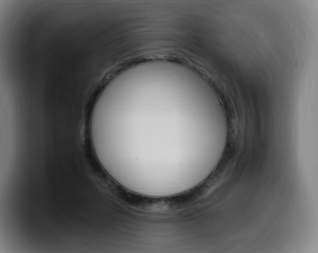 X0000099510600200805151012