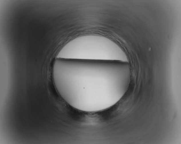 X0000099510603200805151012