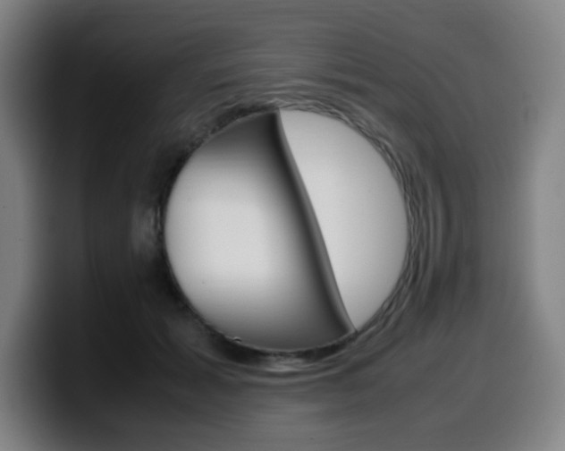 X0000099510605200805151012