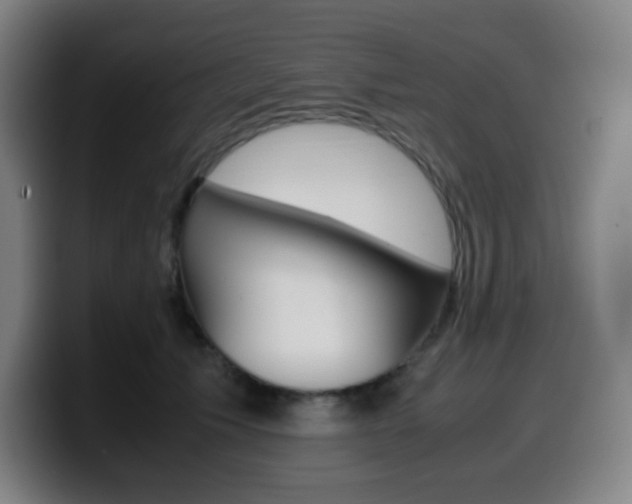 X0000099510609200805151012