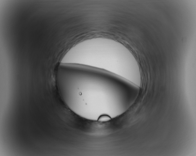 X0000099510613200805151012