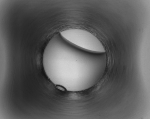 X0000099510616200805151012
