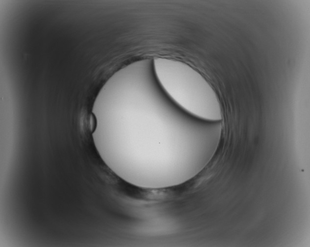 X0000099510623200805151012
