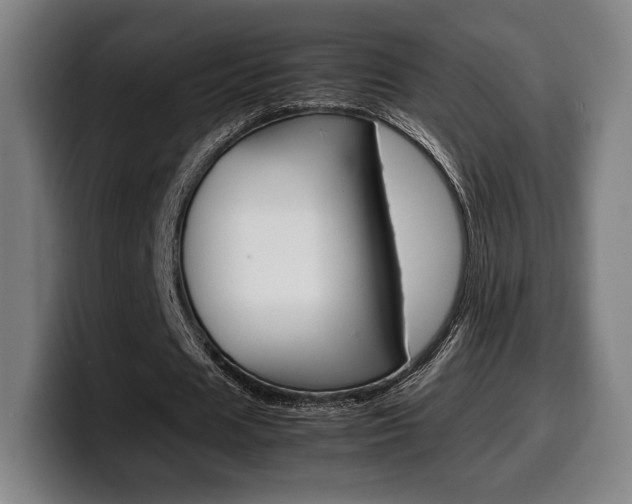 X0000099510625200805151011