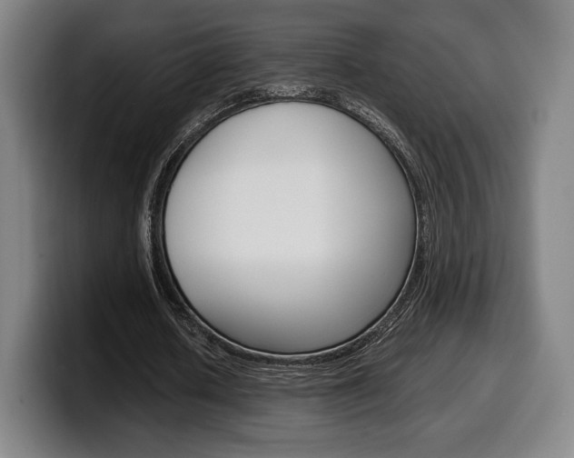 X0000099510626200805151011