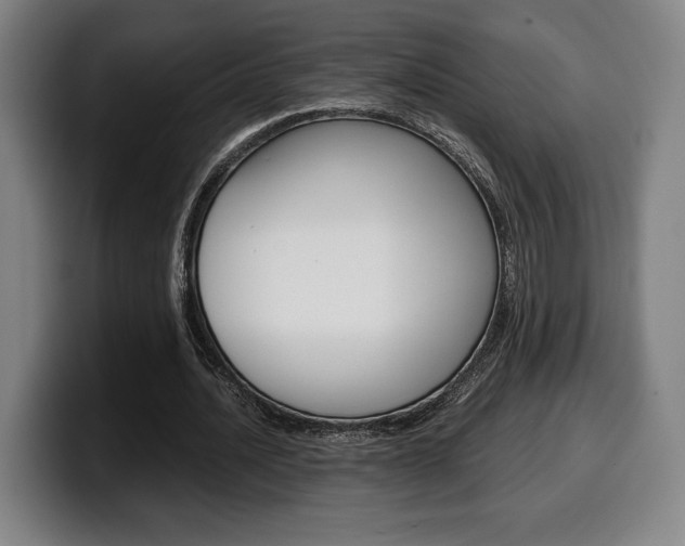 X0000099510628200805151011
