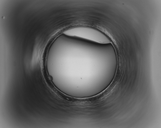 X0000099510629200805151011