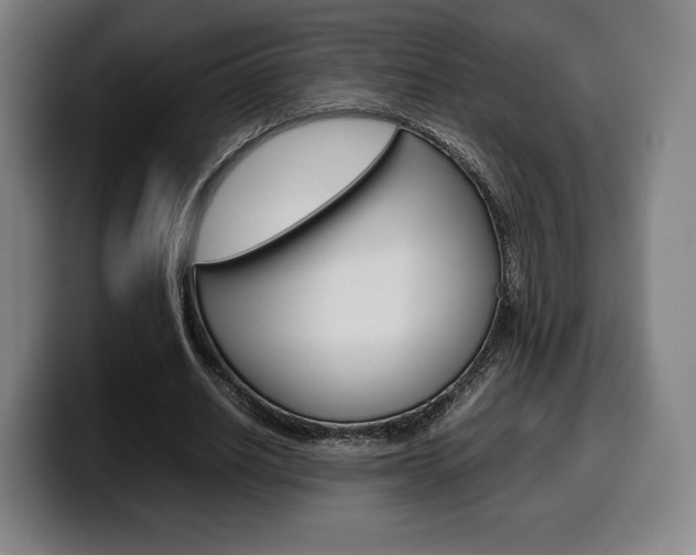 X0000099510630200805151011