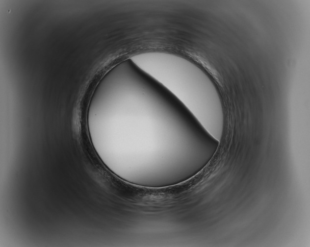 X0000099510631200805151011