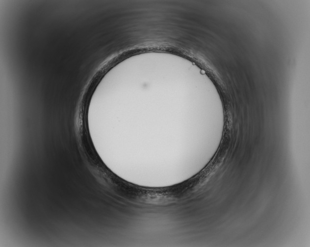 X0000099510632200805151011