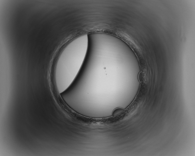 X0000099510634200805151011