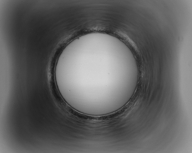 X0000099510635200805151011
