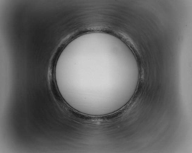 X0000099510636200805151011