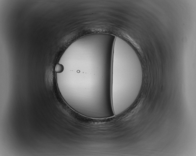 X0000099510637200805151011