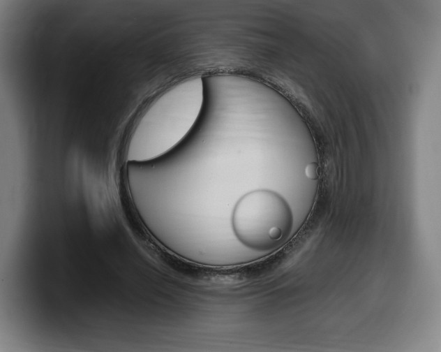 X0000099510638200805151011