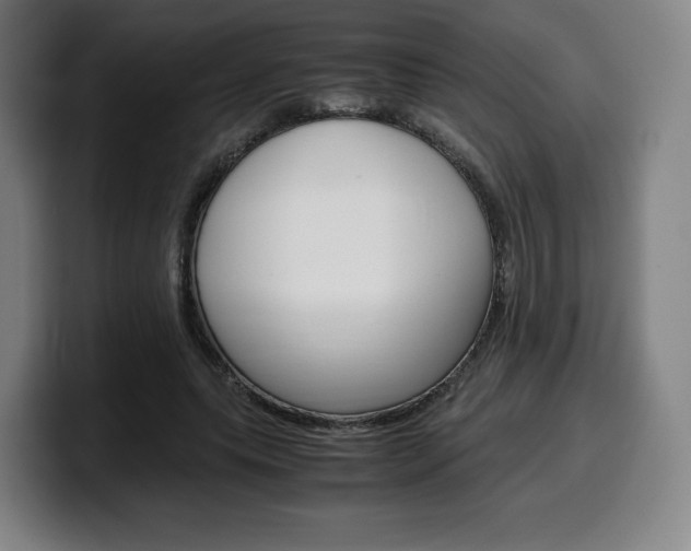 X0000099510639200805151012