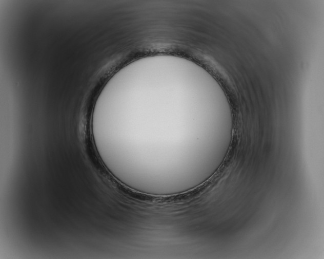 X0000099510640200805151012