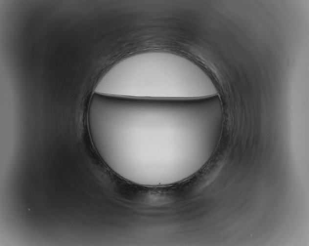 X0000099510641200805151012