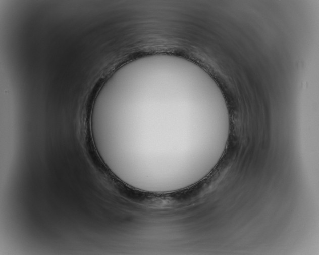 X0000099510642200805151012